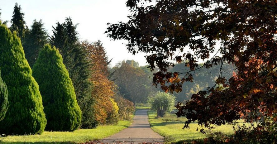 Versailles-Chèvreloup Arboretum, Le Chesnay-Rocquencourt, France